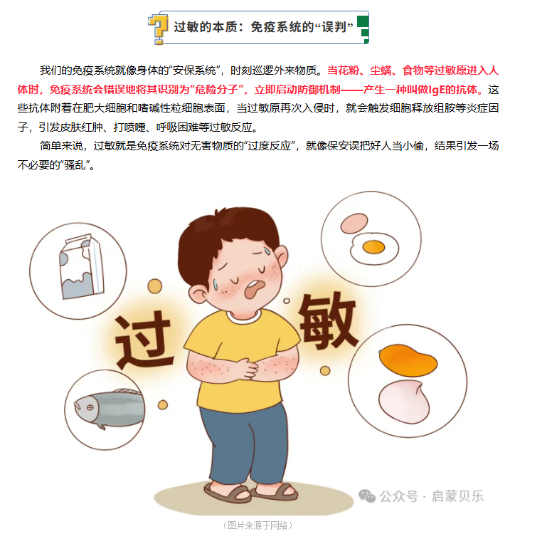 【启蒙贝乐专业调养分享】为啥以前从来不过敏，现在突然过敏了？原因在这里……